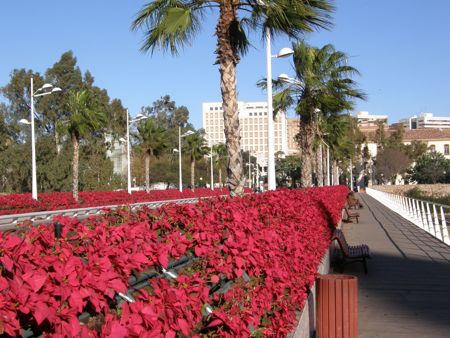 Pont aux Fleurs de Valencia  l'poque de Nol